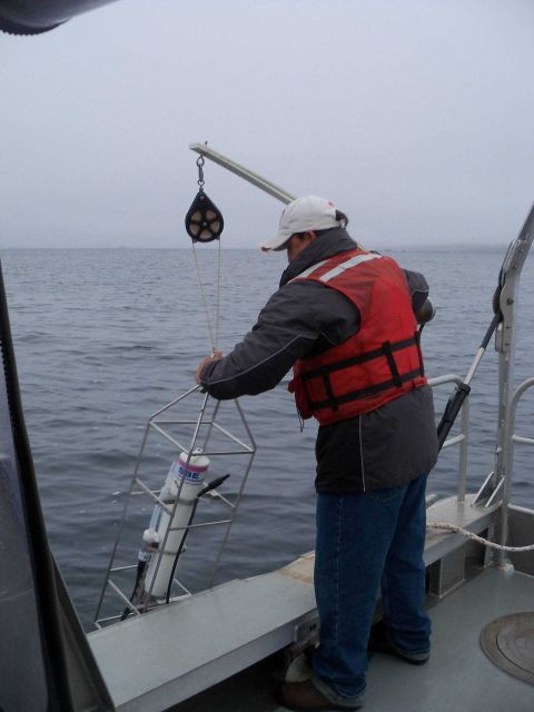 Retrieving Salinity Temperature Depth instrument during launch survey operations Picture