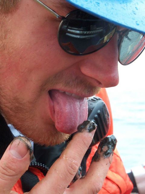 Tasting (perhaps simulating tasting) bottom sample material Picture