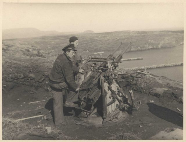 Japanese gun emplacement overlooking the harbor Picture