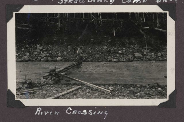 Improvised driftwood bridge for river crossing. Picture