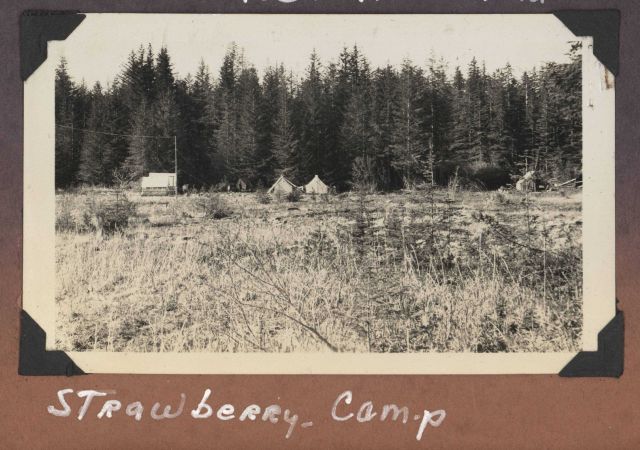 Strawberry Camp - radio antenna rigged for communication with ship. Picture