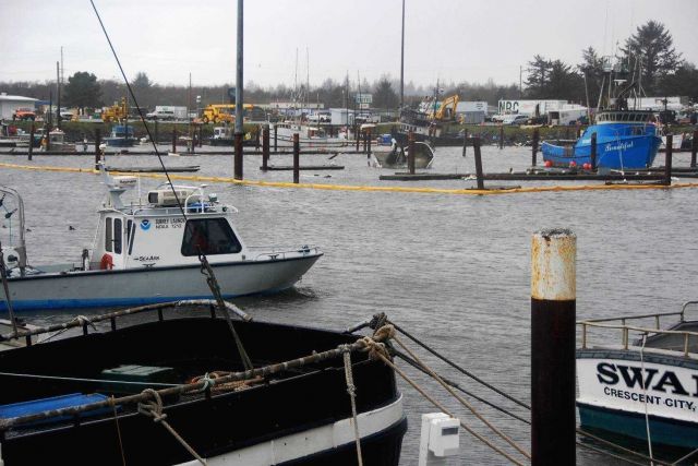 Post-tsunami surveys of Crescent City Harbor following damage from Japanese tsunami following the Tohoku 9.03 earthquake Picture