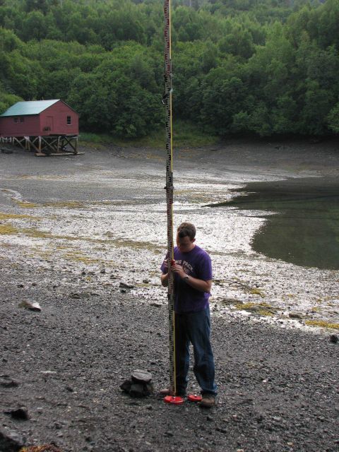 Maintaining the level rod in a vertical orientation during tide gage leveling at a quiet cove at low tide. Picture