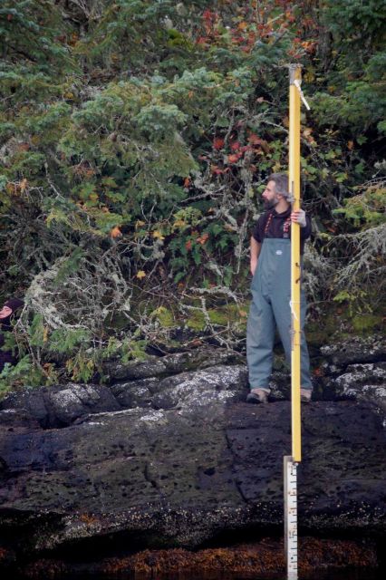 Leveling the tide staff during tide gage leveling operations. Picture