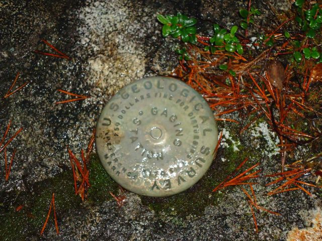 United States Geological Survey Gaging Station Reference Mark. Picture
