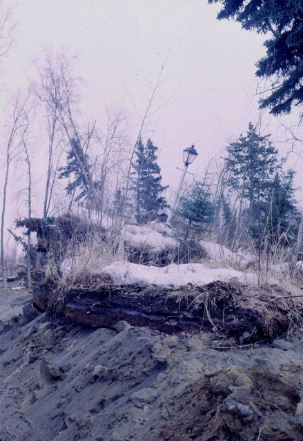 Alaska 1964 Good Friday earthquake damage. Picture