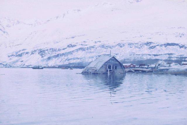 Alaska 1964 Good Friday earthquake damage. Picture