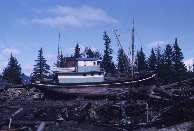 Alaska 1964 Good Friday earthquake and tsunami damage. Picture