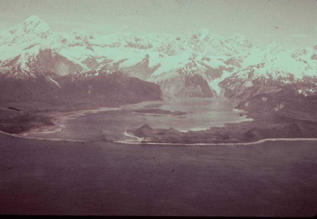 Lituya Bay showing the giant wave path that swept trees off mountainsides up to an elevation of 1720 feet in the left center of the photo Picture