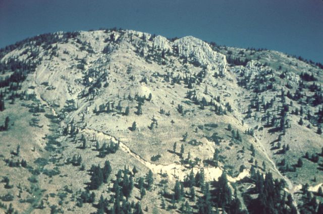 Manifestation of Hebgen Lake Earthquake also known as the Yellowstone Earthquake Picture
