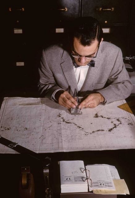 Coast and Geodetic Survey seismologist plotting earthquake epicenter with spacing dividers Picture