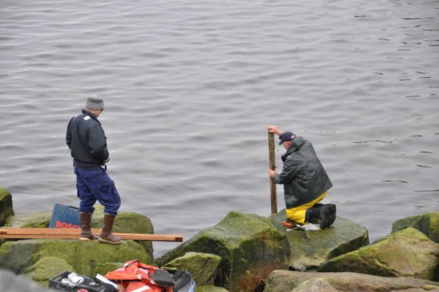 Installing tide staff. Picture