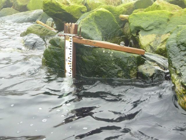 Installing tide staff. Picture