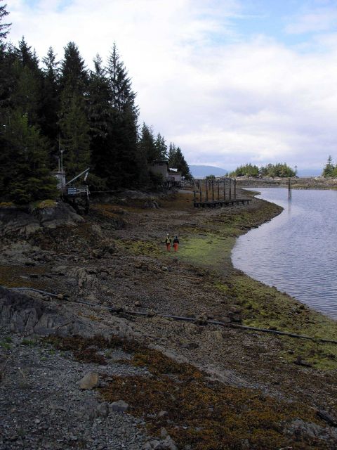 Walking shoreline with Trimble GPS receiver to map hazards and check obstructions seen on aerial photography. Picture