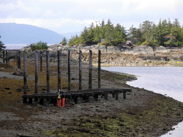 Walking shoreline with Trimble GPS receiver to map hazards and check obstructions seen on aerial photography. Picture