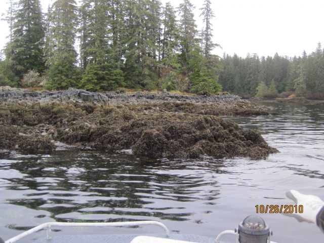 Rocks protruding into fairway observed during shoreline mapping operations. Picture
