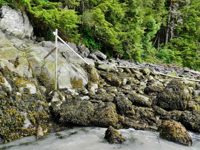 Part of tide gauge installation Picture