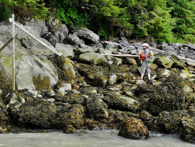 Hydrographic Assistant Survey Technician (HAST) Curran conducting visual inspection of previously installed tide staff Picture