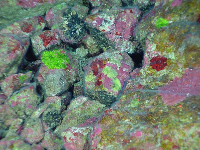 Pacific Ring of Fire Expedition Picture
