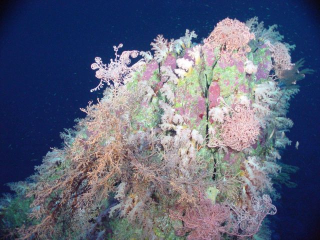 Pacific Ring of Fire Expedition Picture