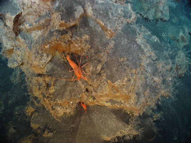 Pacific Ring of Fire Expedition Picture