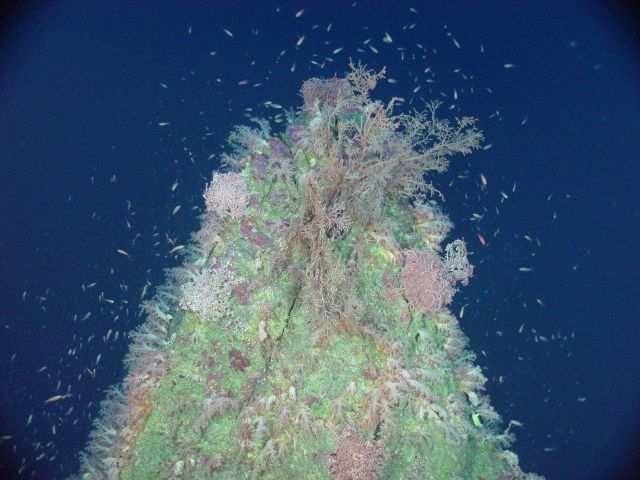 Pacific Ring of Fire Expedition Picture