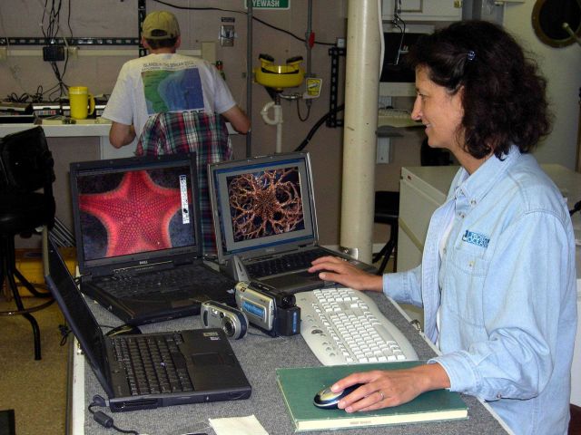 Charleston Bump Expedition Picture