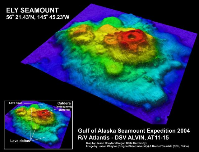 Gulf of Alaska Seamount Expedition Picture