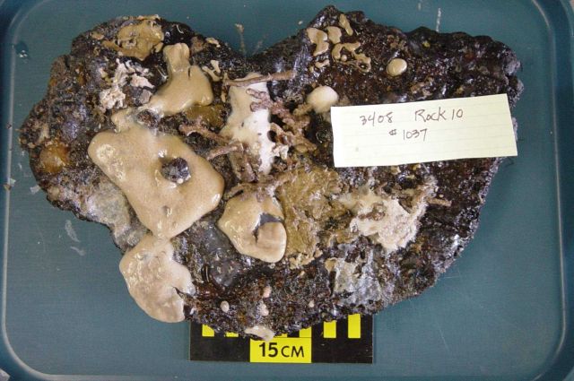 Charleston Bump Expedition Rocks Picture