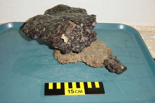 Charleston Bump Expedition Rocks Picture