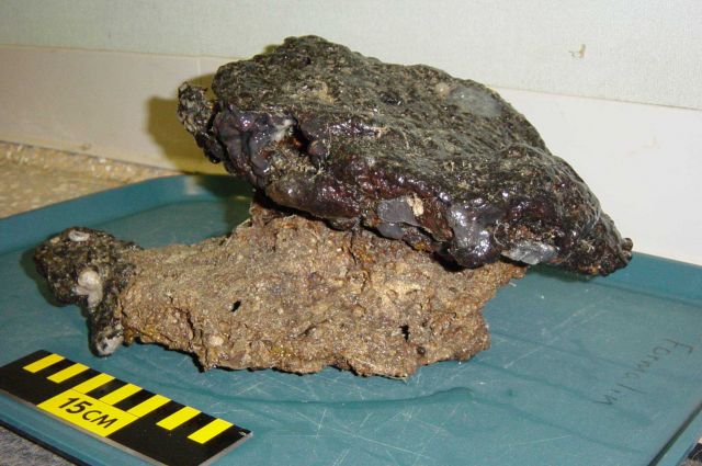 Charleston Bump Expedition Rocks Picture