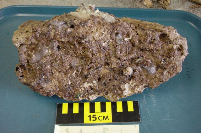 Charleston Bump Expedition Rocks Picture