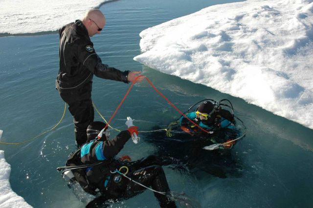 Ice Divers Katrin Iken and Elisabeth Calvert descend below the ice through a hole in a melt pond while Shawn Harper teds the safety line. Picture