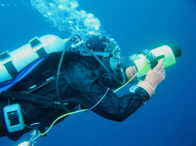 Ice Diver Shawn Harper shoots video of creatures living underneath the ice. Picture