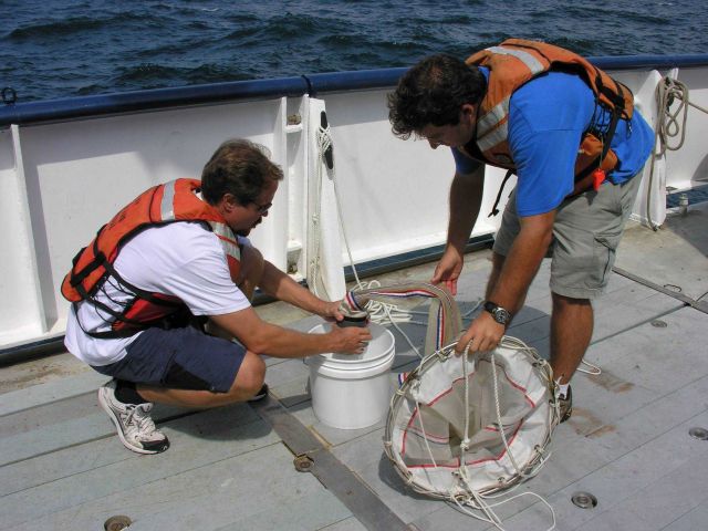 Mikhail Matz and Jon Cohen release the collection bottle from the base of the plankton net after the tow. Picture