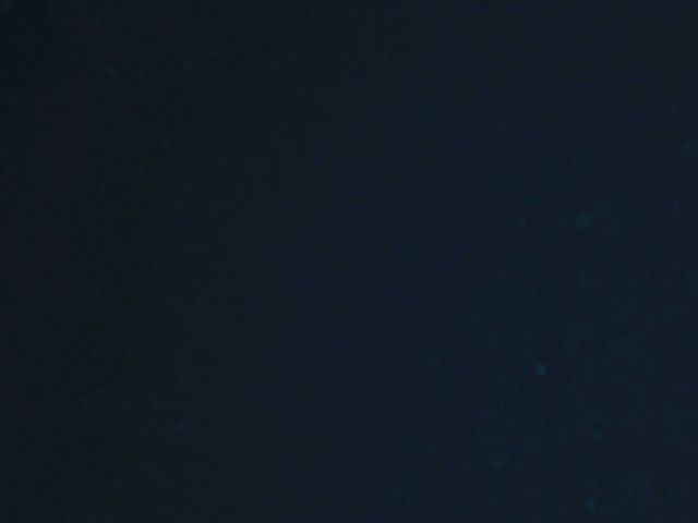 What one sees without artificial light a few hundred meters below the surface Picture