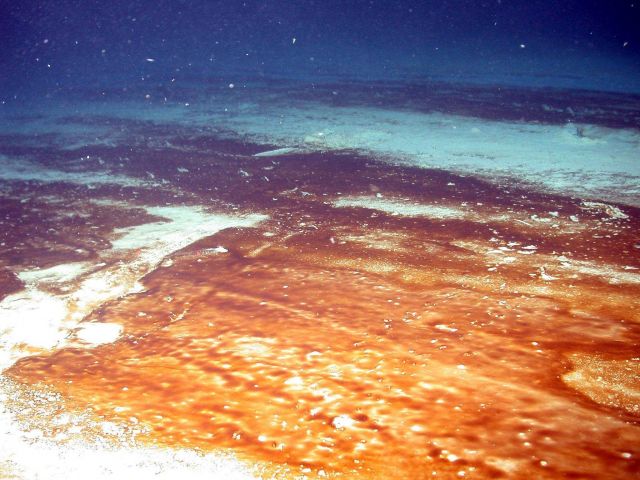 Brine seeps. Picture