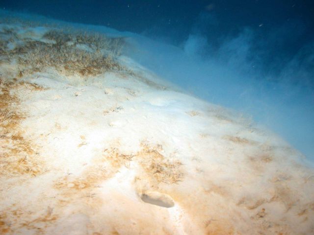 Brine seeps. Picture