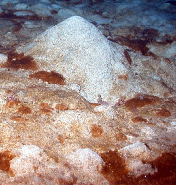 A sea mound. Picture