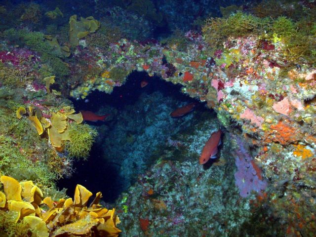 The grotto of the McGrail Bank. Picture