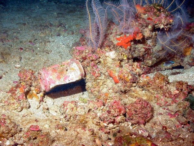 Human debris on the seafloor. Picture