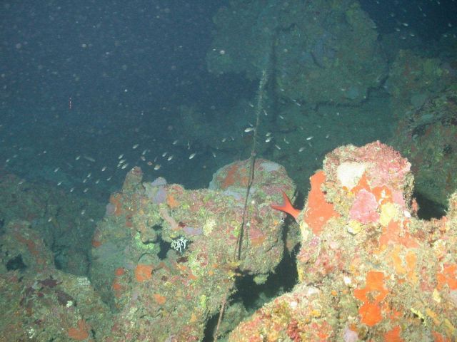 Marine debris Picture
