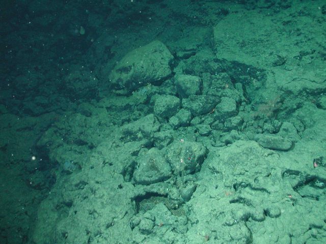 Basalt rocks covered by raining sediment Picture