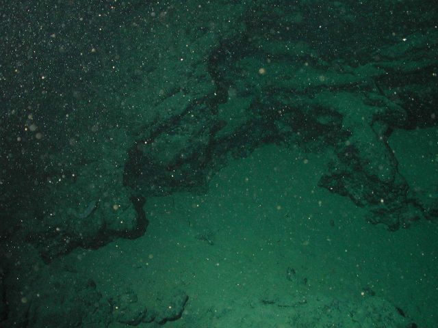 An eternal rain of organic snow and detritus falling to blanket Davidson Seamount. Picture