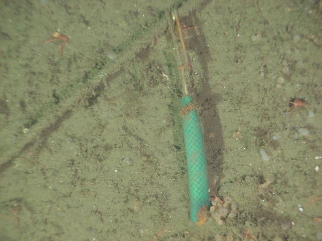 Marine debris - wire cable on continental slope Picture