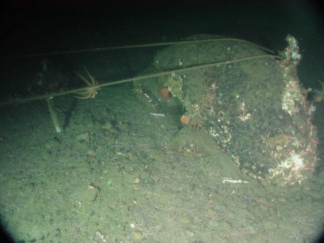 Marine debris Picture