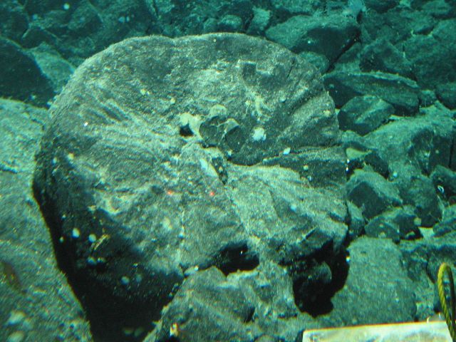 Gulf of Alaska Expedition 2004 Picture