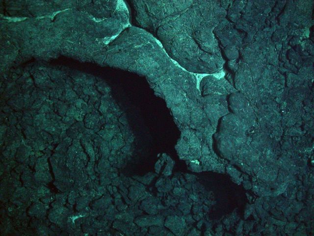 Galapagos 2005 Expedition Picture