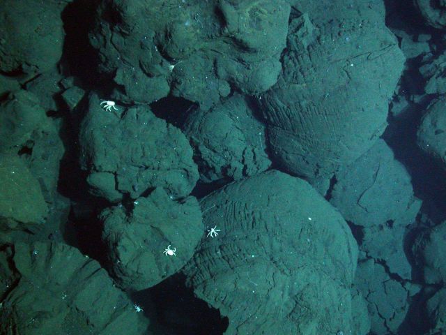 Galapagos 2005 Expedition Picture