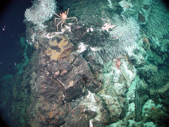 Ring of Fire 2002 Expedition Picture